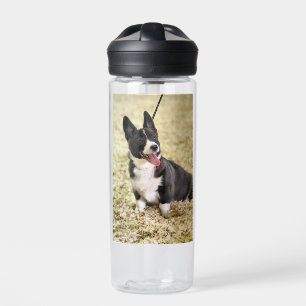 Corgi Water Bottle