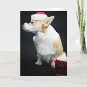 Corgi with Whipped Cream on Its Nose Christmas Card