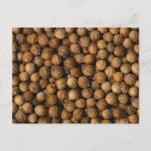 Coriander Postcard
