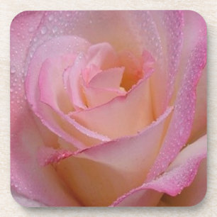 Cork Coaster Set Beautiful Pink Rose