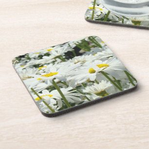 Cork Coasters gifts White Daisy Flowers Daisies