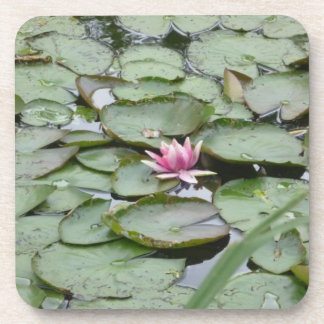 Cork Coasters Set of 6- Monet Garden Lily Pads