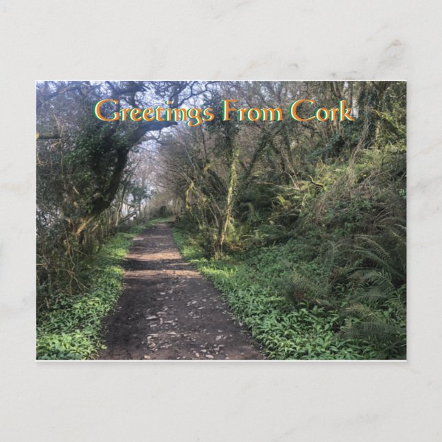 Cork Ireland Postcard (Front)