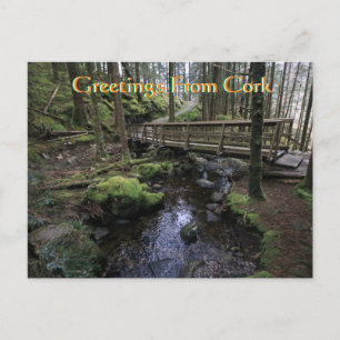 Cork Ireland Postcard