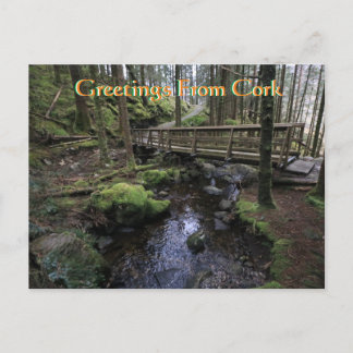 Cork Ireland Postcard