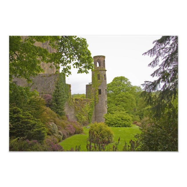 Cork, Ireland. The infamous Blarney Castle 2 Photo Print (Front)