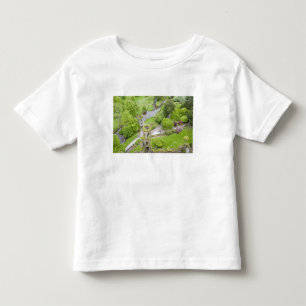 Cork, Ireland. The infamous Blarney Castle Toddler T-Shirt