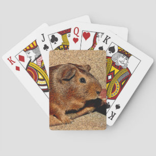 Corkboard Look Guinea Pig Playing Cards