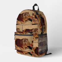 Corkboard Look Guinea Pig