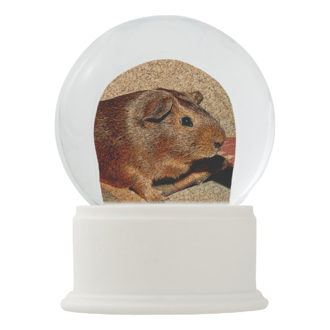 Corkboard Look Guinea Pig Snow Globe (Front)
