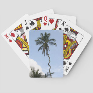 Corkscrew Palm Playing Cards