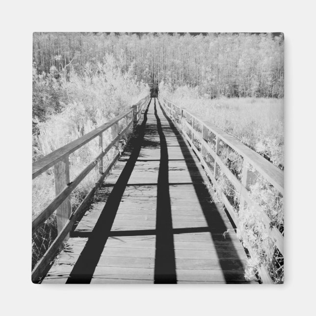 Corkscrew Swamp Sanctuary boardwalk, Florida, Magnet (Front)