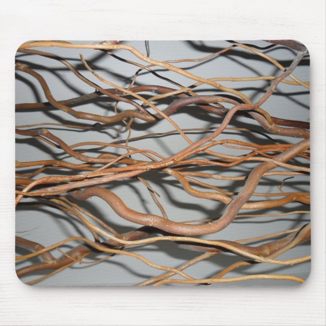 Corkscrew willow, twisted branches photo mouse pad (Front)