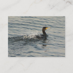 Cormorant Learning to Swim Business Card