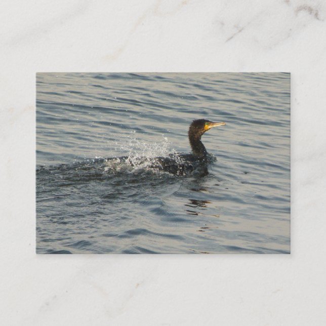 Cormorant Learning to Swim Business Card (Front)