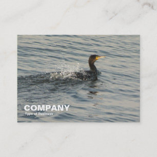 Cormorant Learning to Swim Business Card