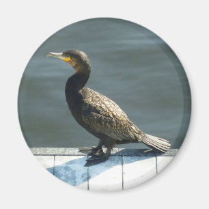Cormorant Magnet