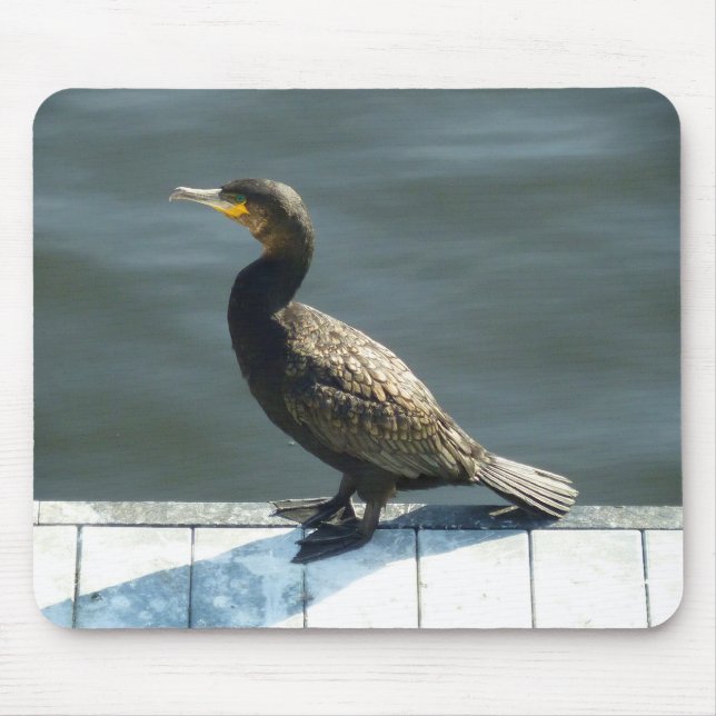 Cormorant Mouse Pad (Front)