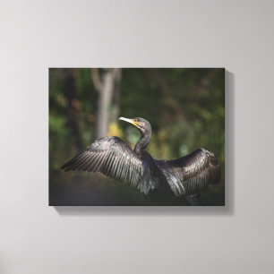 Cormorant Nature Photo Canvas Print