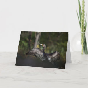 Cormorant Nature Photo Card