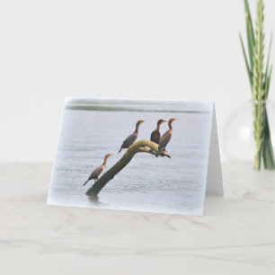 Cormorant Notecard