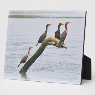 Cormorant Plaque