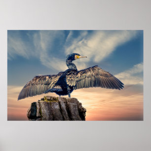 Cormorant Poster