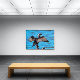 Cormorant With Outspread Wings On Blue Water Art Canvas Print
