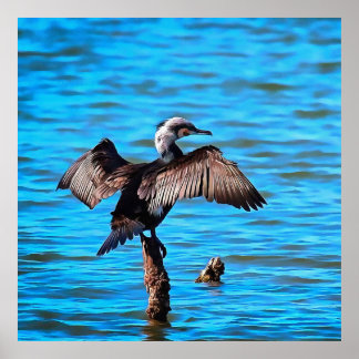Cormorant With Outspread Wings On Blue Water Art Poster