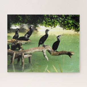Cormorants Jigsaw Puzzle
