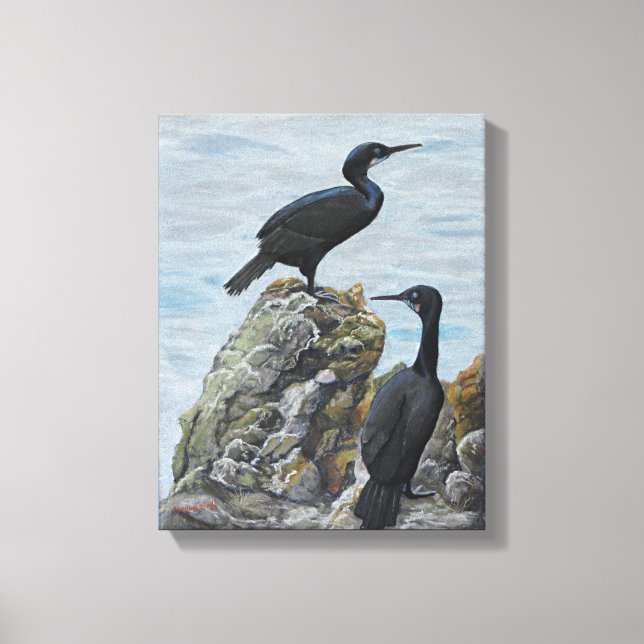 Cormorants on Rocks Print on Canvas (Front)