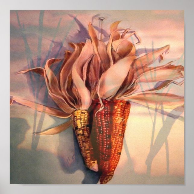 Corn at sunset poster (Front)