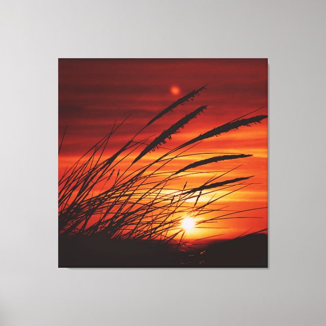 Corn Canvas Print (Front)