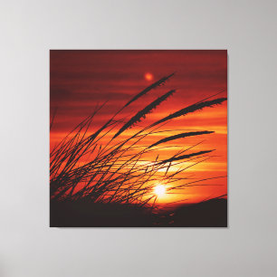 Corn Canvas Print
