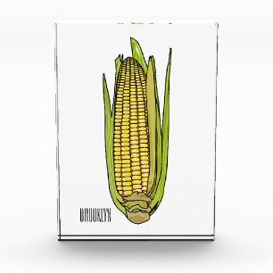 Corn cartoon illustration  photo block