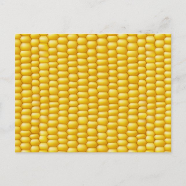 Corn Cob Background Postcard (Front)