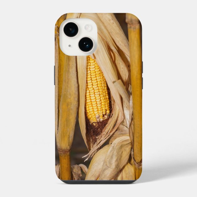 Corn Cobb On Stalk iPhone Case (Back)