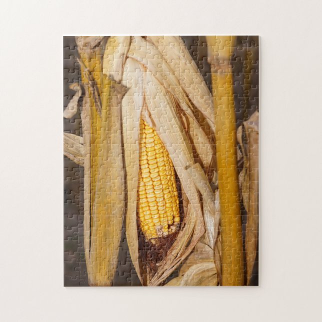 Corn Cobb On Stalk Jigsaw Puzzle (Vertical)