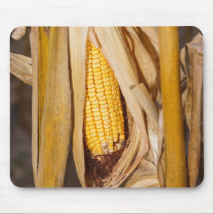 Corn Cobb On Stalk Mouse Pad