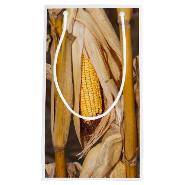 Corn Cobb On Stalk Small Gift Bag (Front)