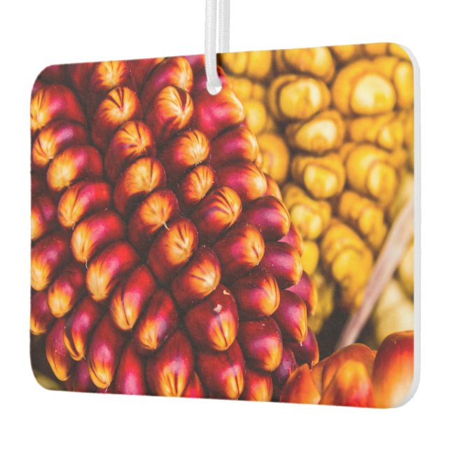 Corn cobs car air freshener (Left)