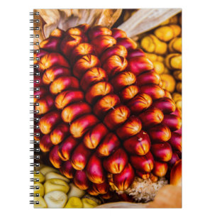 Corn cobs notebook