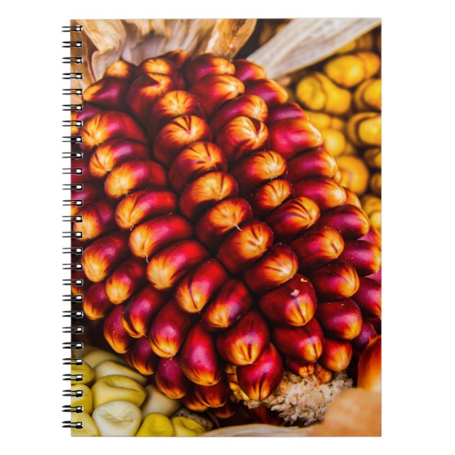 Corn cobs notebook (Front)