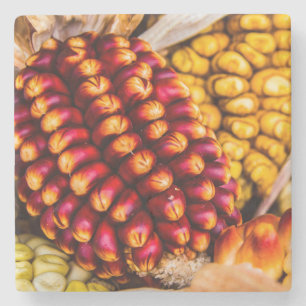 Corn cobs stone coaster