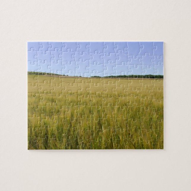 Corn Field Jigsaw Puzzle (Horizontal)