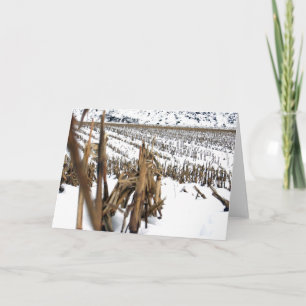 Corn Field Poetry Greeting Card