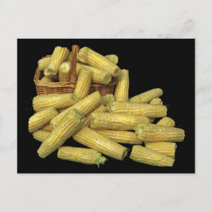 Corn Harvest Postcard