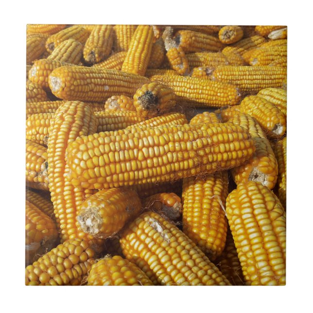 Corn Harvest Tile (Front)