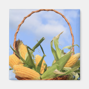 Corn on the Cob Magnet