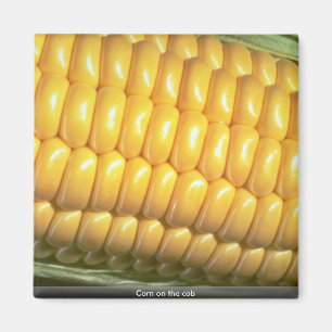 Corn on the cob magnet